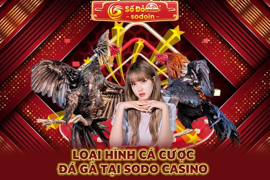 loại-hình-cá-cược-đá-gà-tại-sodo-casino
