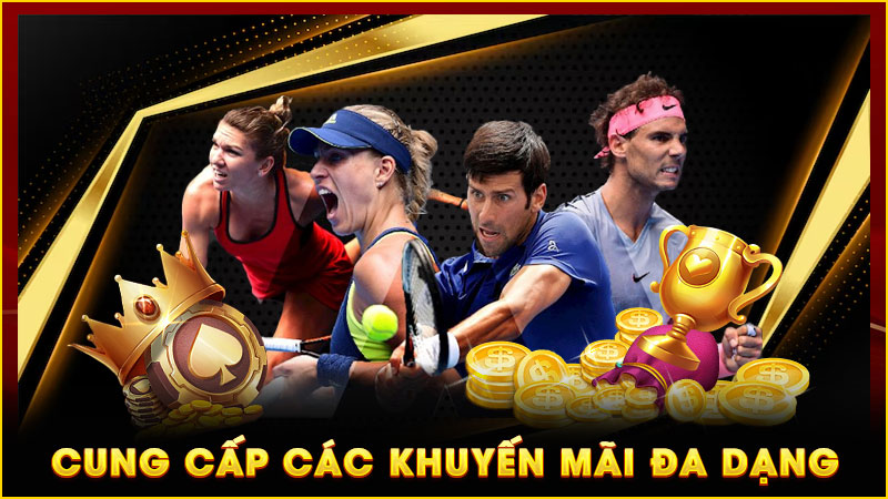 cung cấp các khuyến mãi đa dạng