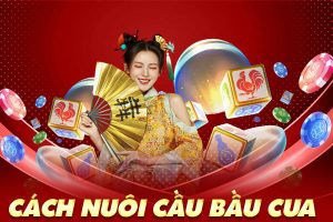 cách nuôi cầu bầu cua