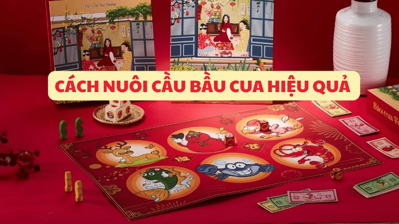 cách nuôi cầu bầu cua hiệu quả